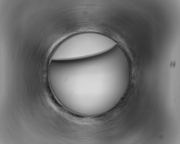 X0000112800012200908211013