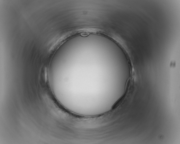 X0000112800013200908211013