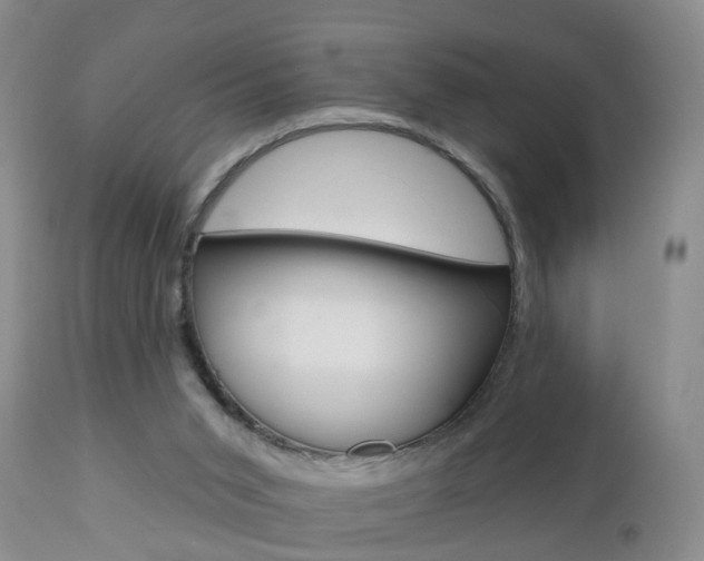 X0000112800015200908211013