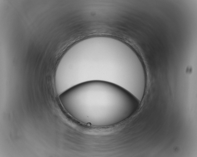 X0000112800017200908211013