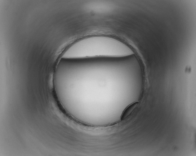 X0000112800019200908211013