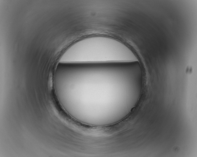 X0000112800020200908211013