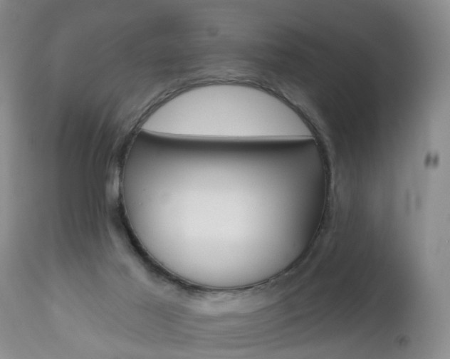 X0000112800021200908211013