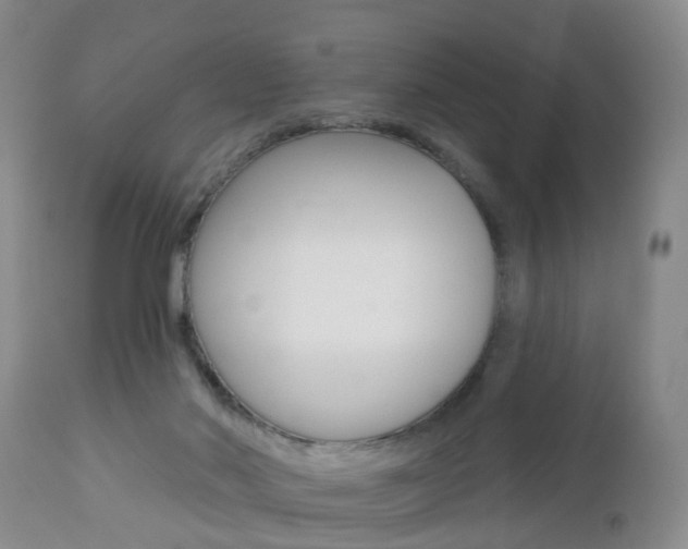 X0000112800022200908211013