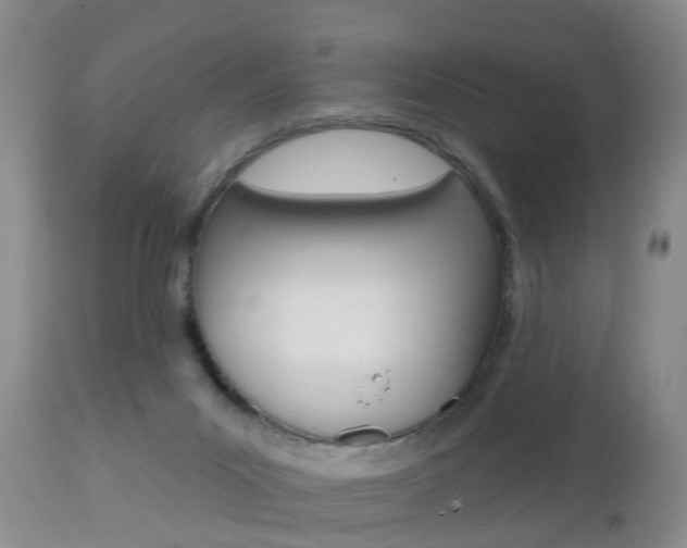 X0000112800023200908211013