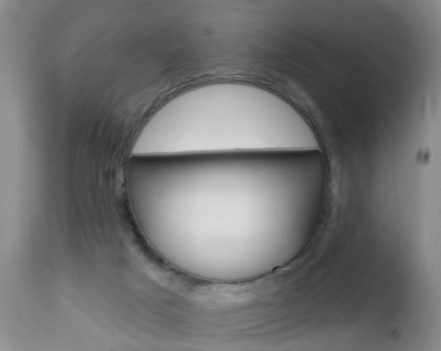 X0000112800025200908211013