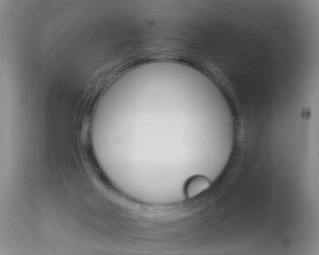 X0000112800026200908211013