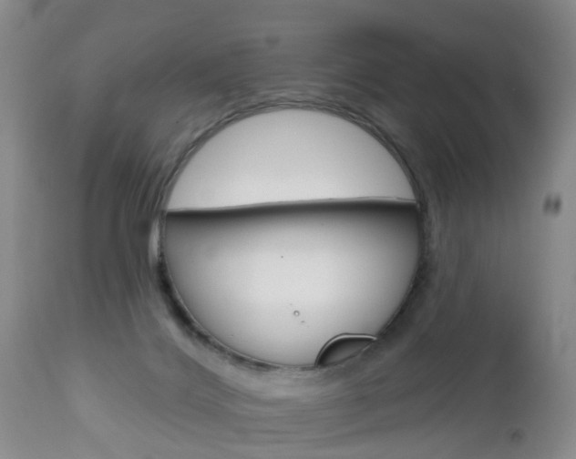 X0000112800028200908211013
