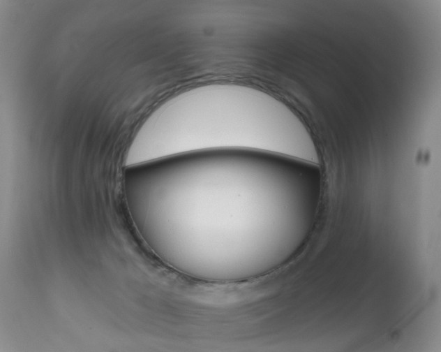 X0000112800029200908211013