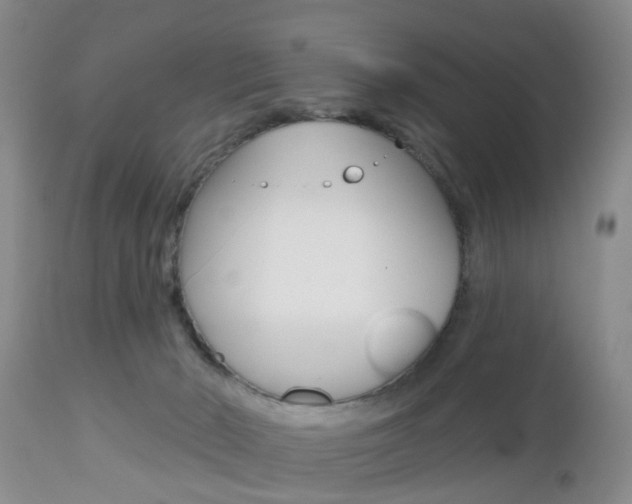 X0000112800030200908211013