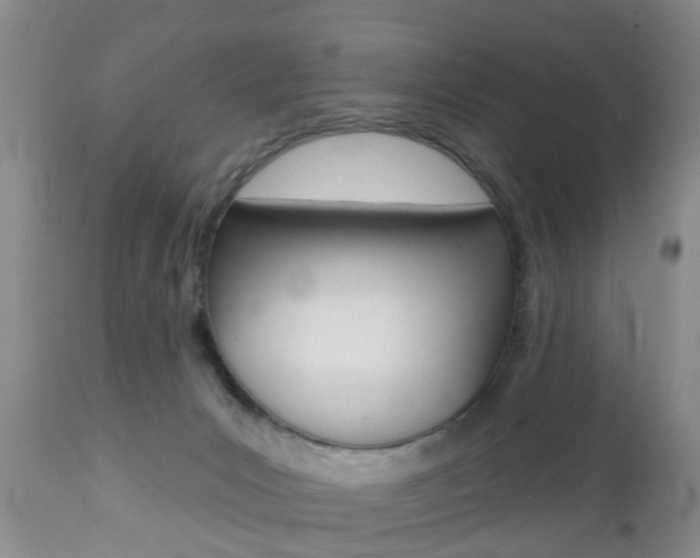 X0000112800031200908211013