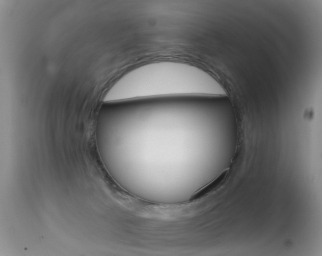 X0000112800033200908211013