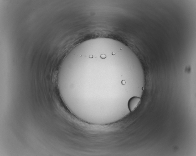 X0000112800034200908211013