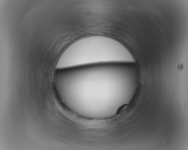 X0000112800036200908211013