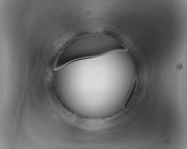 X0000112800037200908211013