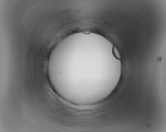 X0000112800038200908211013