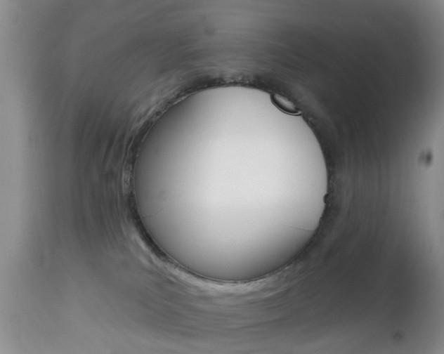 X0000112800039200908211013