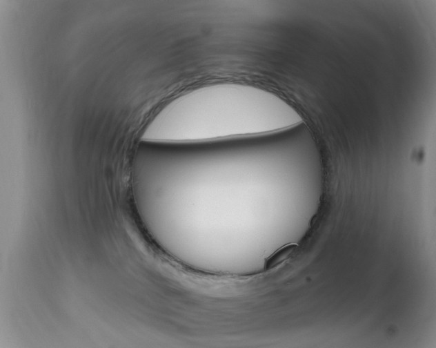 X0000112800040200908211013