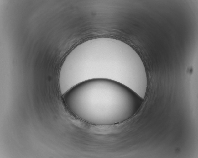 X0000112800041200908211013