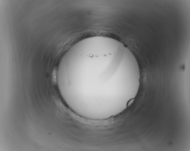 X0000112800042200908211013