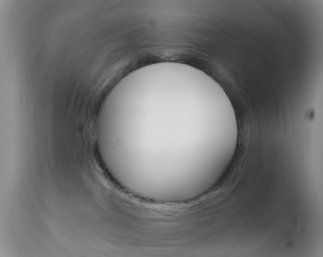X0000112800044200908211013