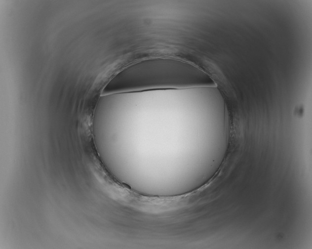 X0000112800045200908211013