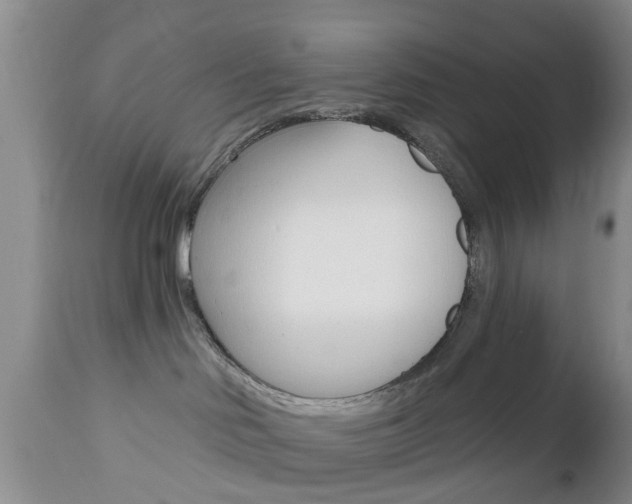 X0000112800046200908211013