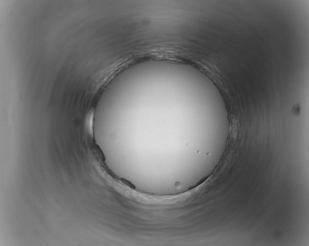 X0000112800047200908211013