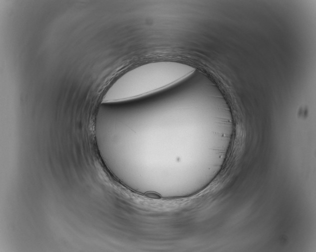 X0000112800048200908211013
