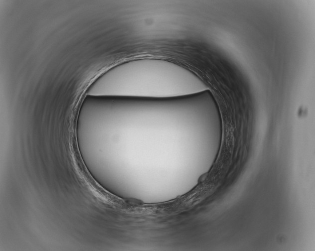 X0000112800049200908211012