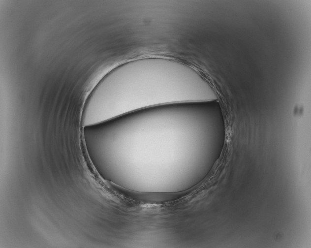 X0000112800052200908211012