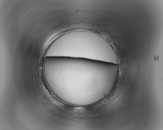 X0000112800053200908211012
