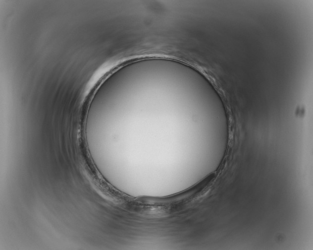 X0000112800056200908211012