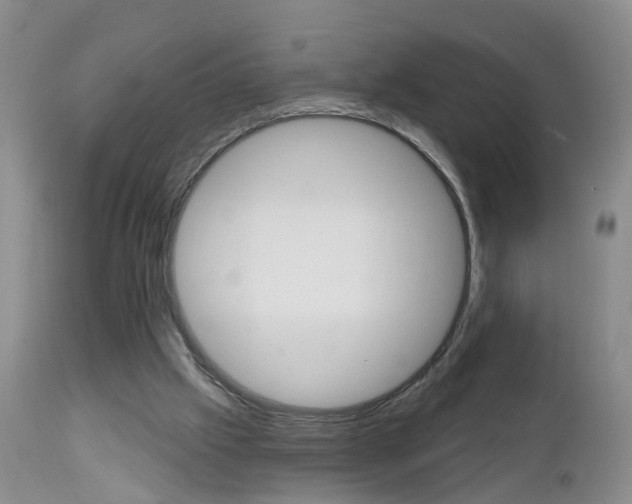 X0000112800057200908211012