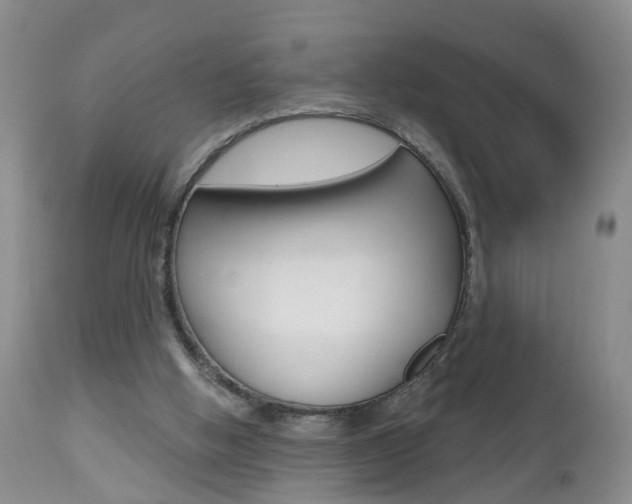 X0000112800058200908211012