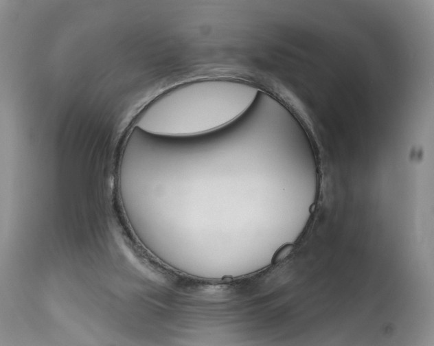 X0000112800059200908211012