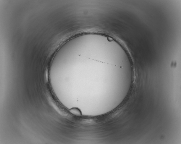 X0000112800061200908211012