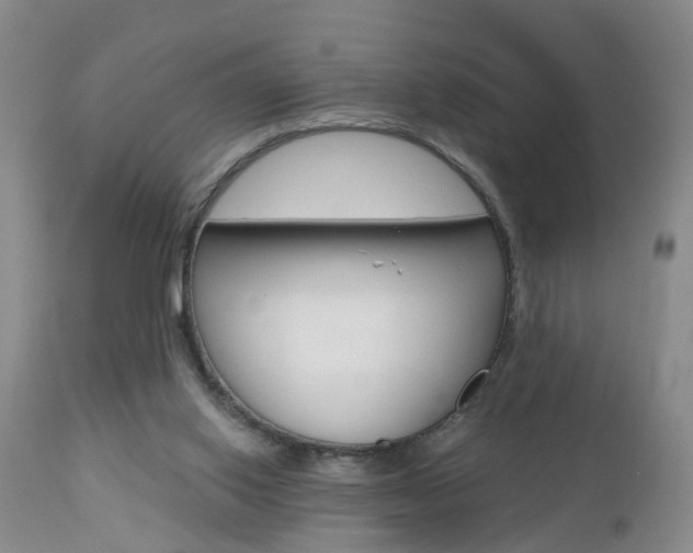 X0000112800062200908211012