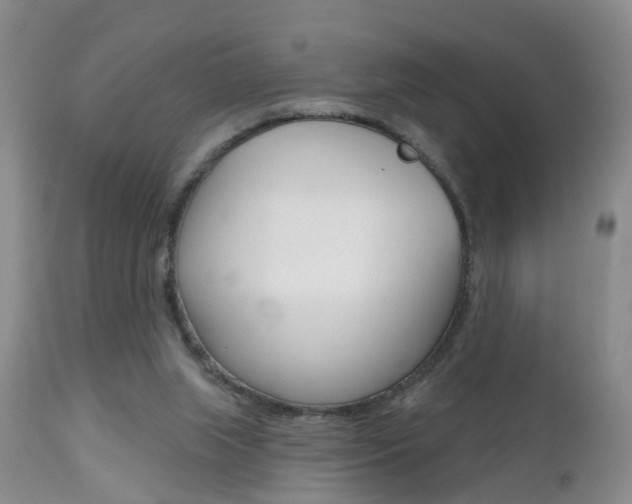X0000112800063200908211012