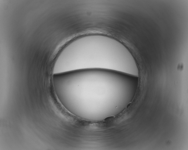 X0000112800064200908211012