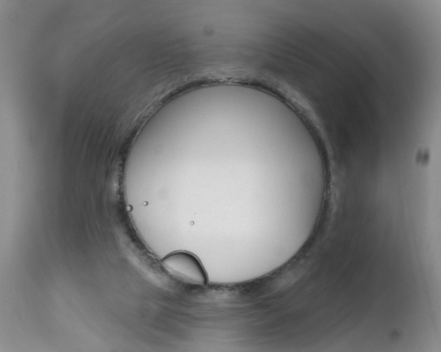 X0000112800065200908211012