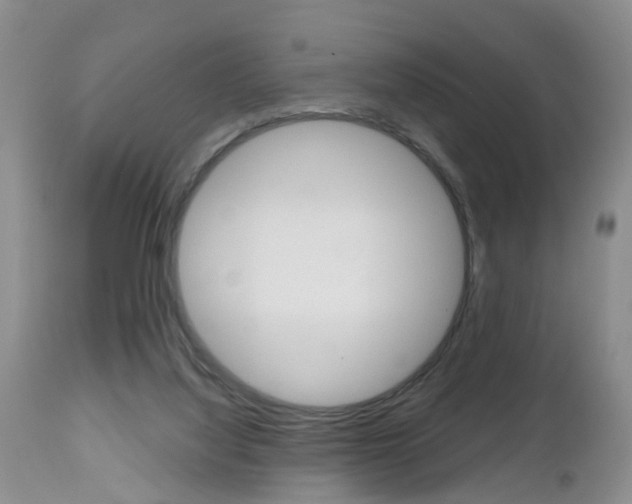 X0000112800068200908211012