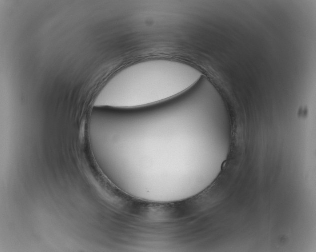 X0000112800070200908211012