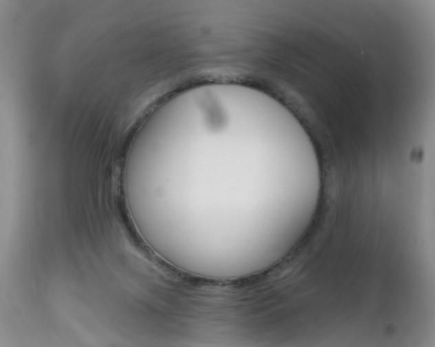 X0000112800071200908211012