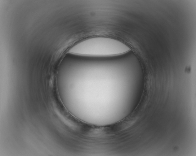 X0000112800072200908211012