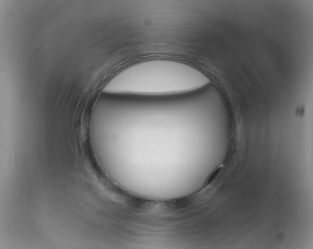 X0000112800074200908211012