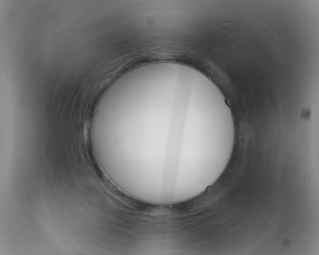 X0000112800075200908211012