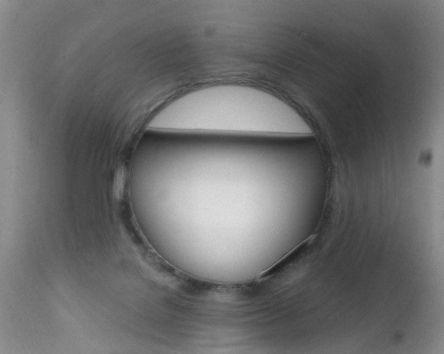 X0000112800076200908211012