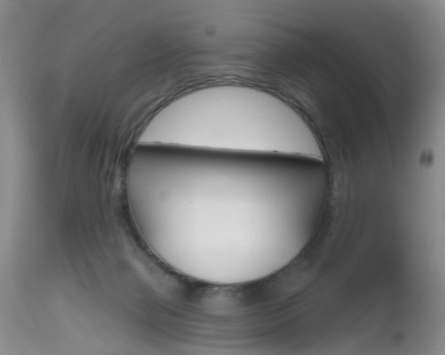 X0000112800077200908211012