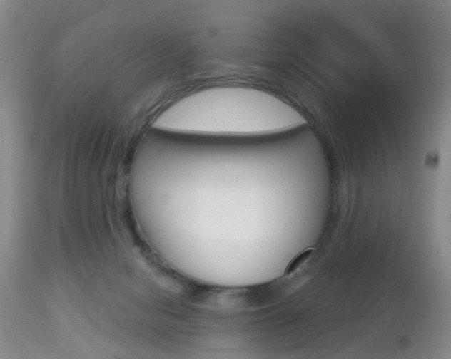 X0000112800078200908211012